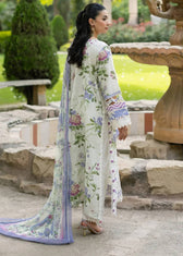 Elaf Signature Lawn/Vol 2/3B/Katie