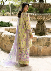 Elaf Signature Lawn/Vol 2/8A/Olivia