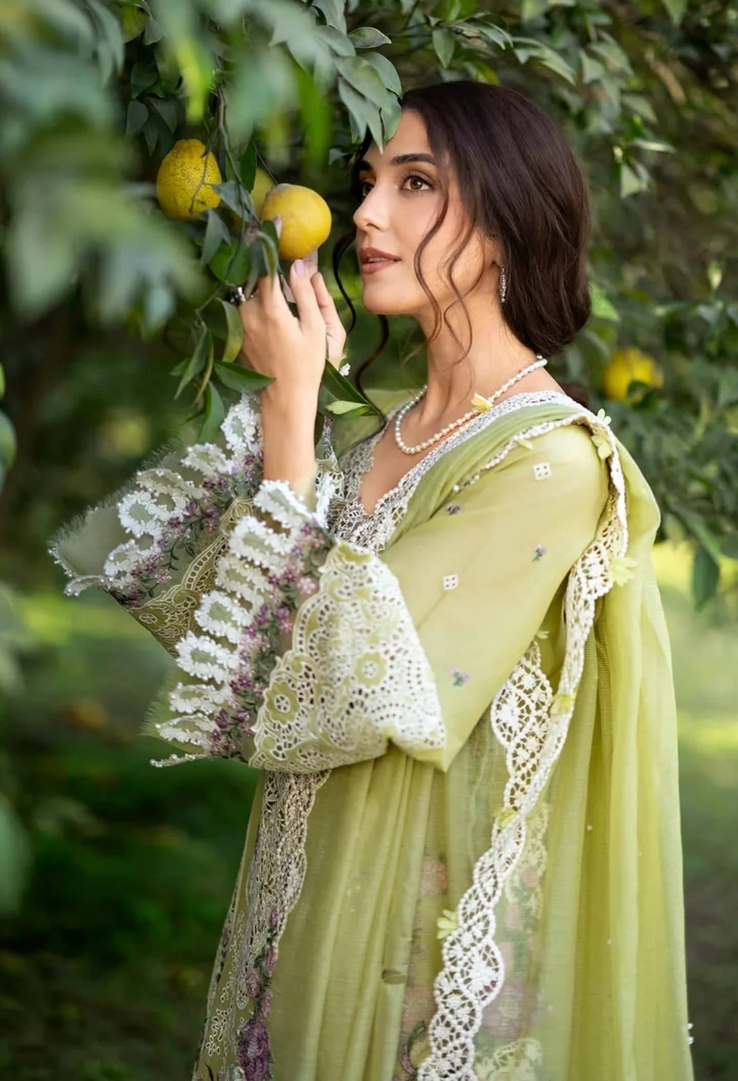 Elaf Premium Lawn 26/ELY-08 PISTACHIA