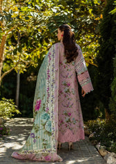 Elaf Chikankari/ELK-03B PRINCESS ROSE/Pink
