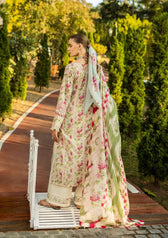 img_elaf_chikankari_awwal_boutique