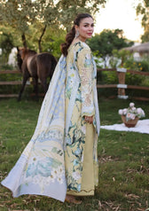 img_elaf_chikankari_awwal_boutique