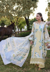 img_elaf_chikankari_awwal_boutique