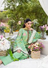 Elaf Prints Chiffon Dupatta Collection/ECD-6B PASTELLE