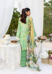 Elaf Prints Chiffon Dupatta Collection/ECD-6B PASTELLE