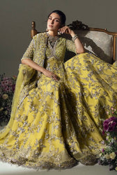 Elan Chiffon Pakistani Suits Elan Wedding Couture 24/LIME BLOSSOM (EC24-03)