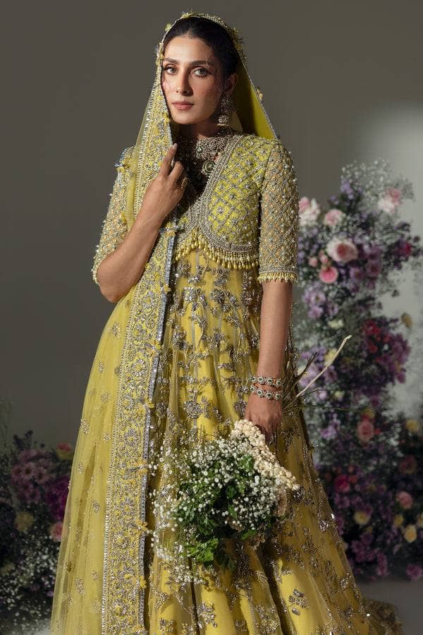 Elan Chiffon Pakistani Suits Elan Wedding Couture 24/LIME BLOSSOM (EC24-03)