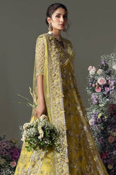 Elan Chiffon Pakistani Suits Elan Wedding Couture 24/LIME BLOSSOM (EC24-03)