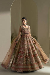 Elan Chiffon Pakistani Suits Elan Wedding Couture 24/MAHARANI (EC24-04)