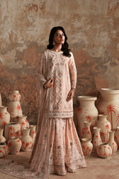 img_emaan_adeel_silk_awwal_boutique