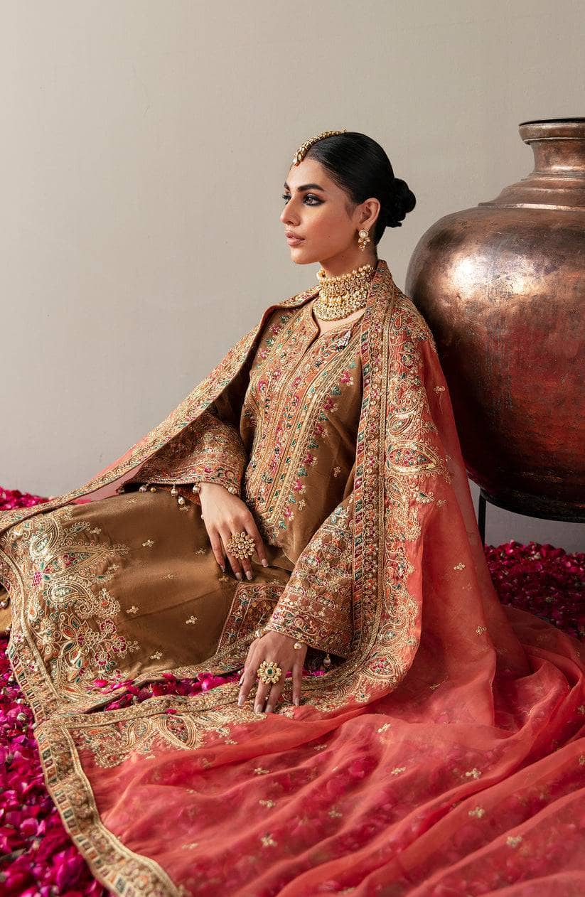 ing_emaan_adeel_velvet_awwal_boutique