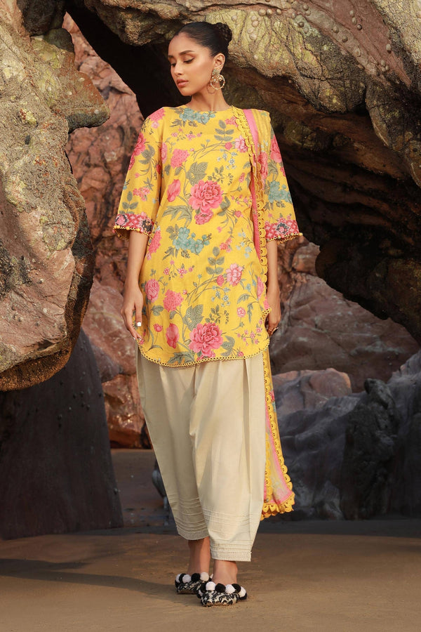 img_sana_safinaz_mahay_24_awwal_boutique