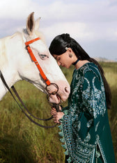 Hussain Rehar Khaddar Winter Pakistani Suits Restocked/Hussain Rehar Khaddar 25/Johar