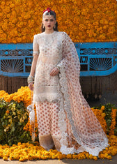 ing_Hussain_rehar_darling_bridal_couture_awwal_boutique