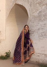 Hussain Rehar Doll House Wedding/Shabnam/Plum