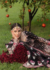 Hussain Rehar Doll House Wedding/Shahnoor/Black
