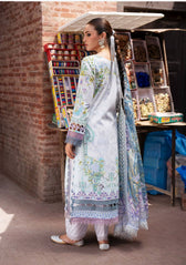Jade Urbane Prints 26/Chiffon Dupatta