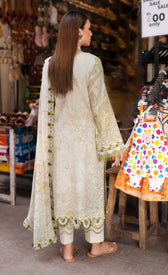 Jade Urbane Prints 26/Chiffon Dupatta