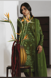 Jugnu Lahore/Karandi/Zinia/Olive Green