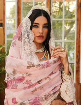 Kahf Premium Lawn 24/Vol 2/Coralyn