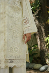 img_manara_by_maria_asif_beig_lawn_awwal_boutique