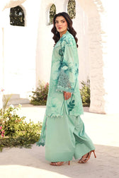 img_m_basics_awwal_boutique