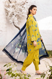 img_m_basics_awwal_boutique