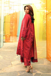img_m_basics_awwal_boutique