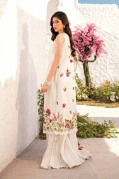 img_m_basics_awwal_boutique