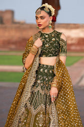 Mohsin Naveed Ranjha Chiffon Pakistani Suit Mohsin Naveed Ranjha 25/Makhfi/Shaadi Collection/Afsana/Green