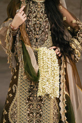Mohsin Naveed Ranjha Chiffon Pakistani Suit Mohsin Naveed Ranjha 25/Makhfi/Shaadi Collection/Brown/Tabeer