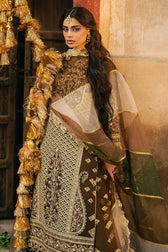 Mohsin Naveed Ranjha Chiffon Pakistani Suit Mohsin Naveed Ranjha 25/Makhfi/Shaadi Collection/Brown/Tabeer