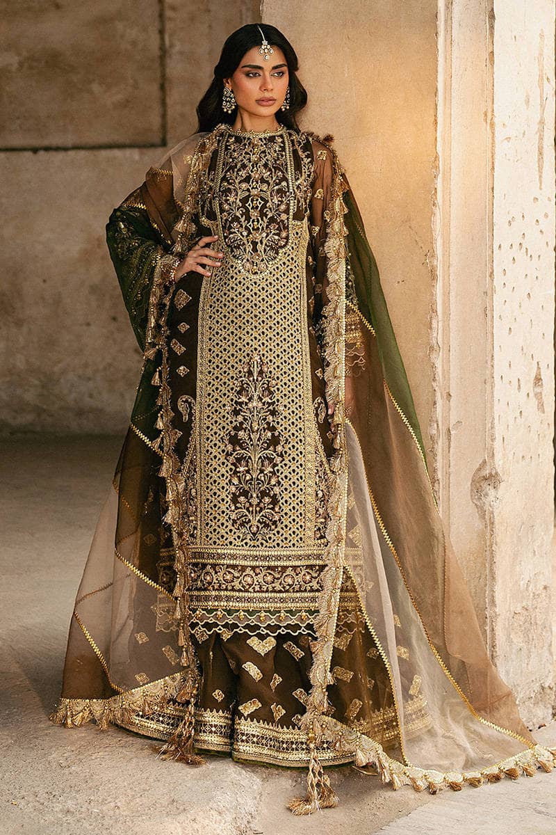 Mohsin Naveed Ranjha Chiffon Pakistani Suit Mohsin Naveed Ranjha 25/Makhfi/Shaadi Collection/Brown/Tabeer