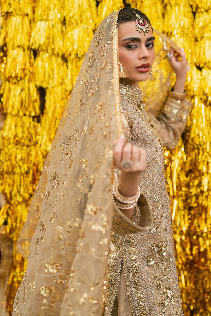 Mohsin Naveed Ranjha Chiffon Pakistani Suit Mohsin Naveed Ranjha 25/Makhfi/Shaadi Collection/Gold/Roshni