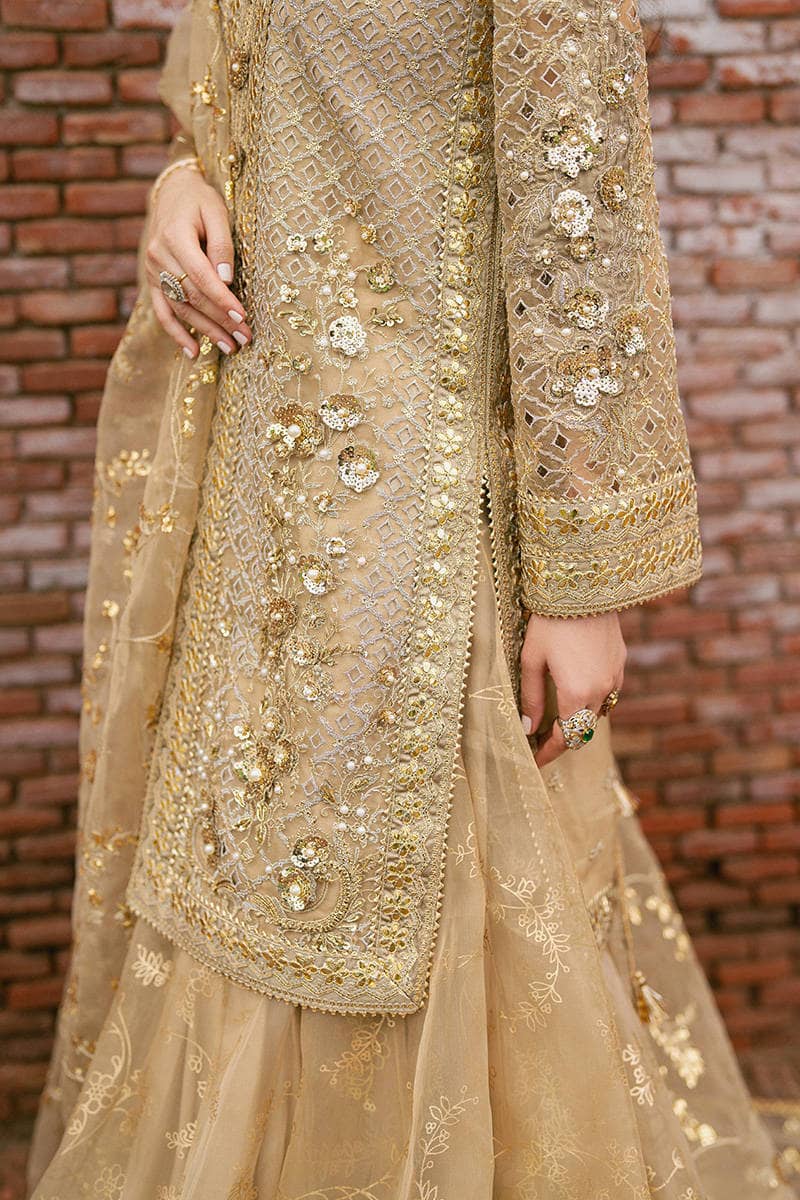 Mohsin Naveed Ranjha Chiffon Pakistani Suit Mohsin Naveed Ranjha 25/Makhfi/Shaadi Collection/Gold/Roshni