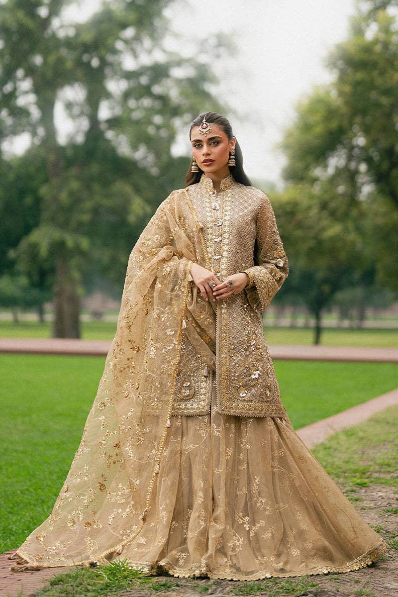 Mohsin Naveed Ranjha Chiffon Pakistani Suit Mohsin Naveed Ranjha 25/Makhfi/Shaadi Collection/Gold/Roshni