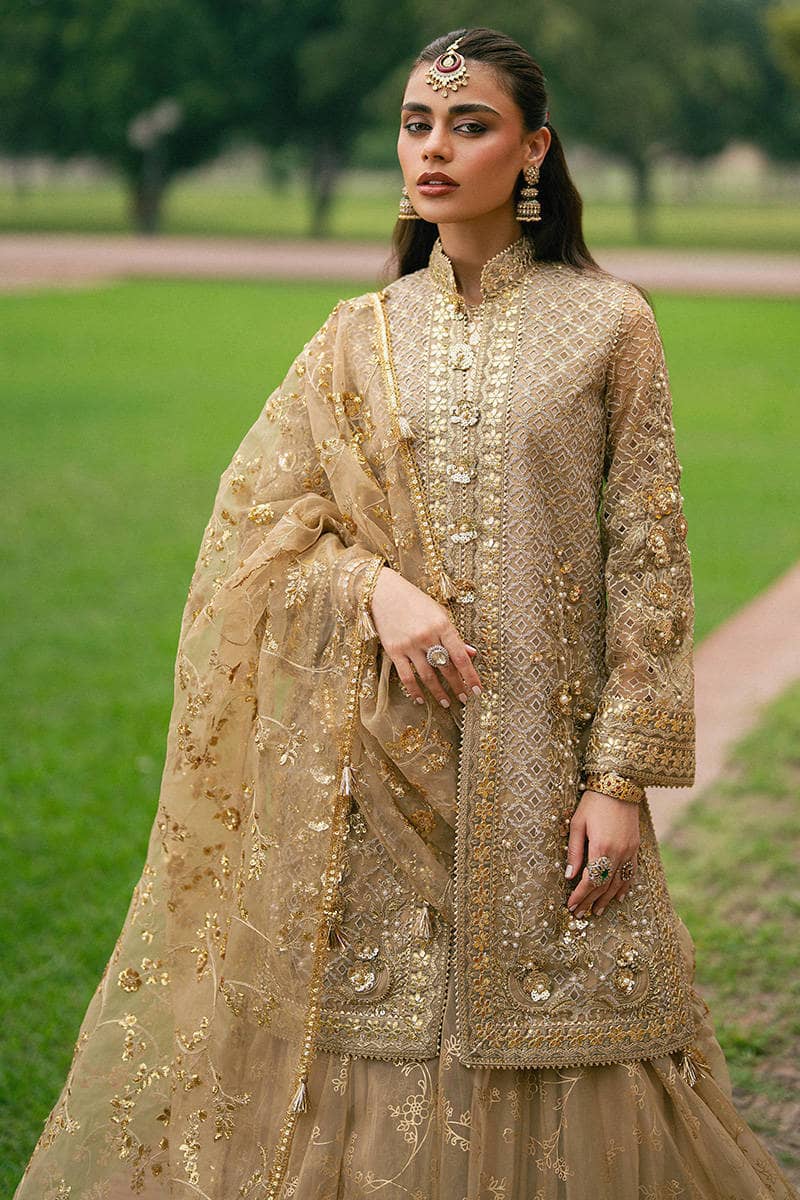 Mohsin Naveed Ranjha Chiffon Pakistani Suit Mohsin Naveed Ranjha 25/Makhfi/Shaadi Collection/Gold/Roshni