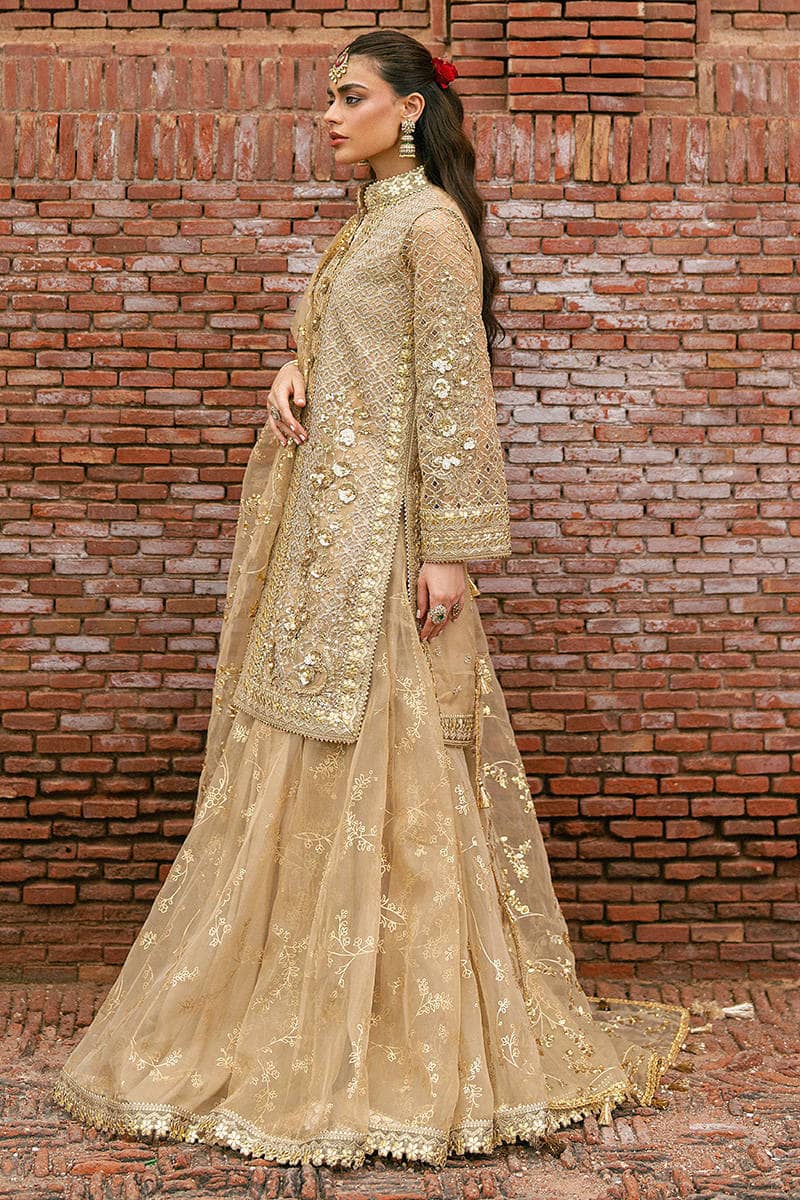 Mohsin Naveed Ranjha Chiffon Pakistani Suit Mohsin Naveed Ranjha 25/Makhfi/Shaadi Collection/Gold/Roshni