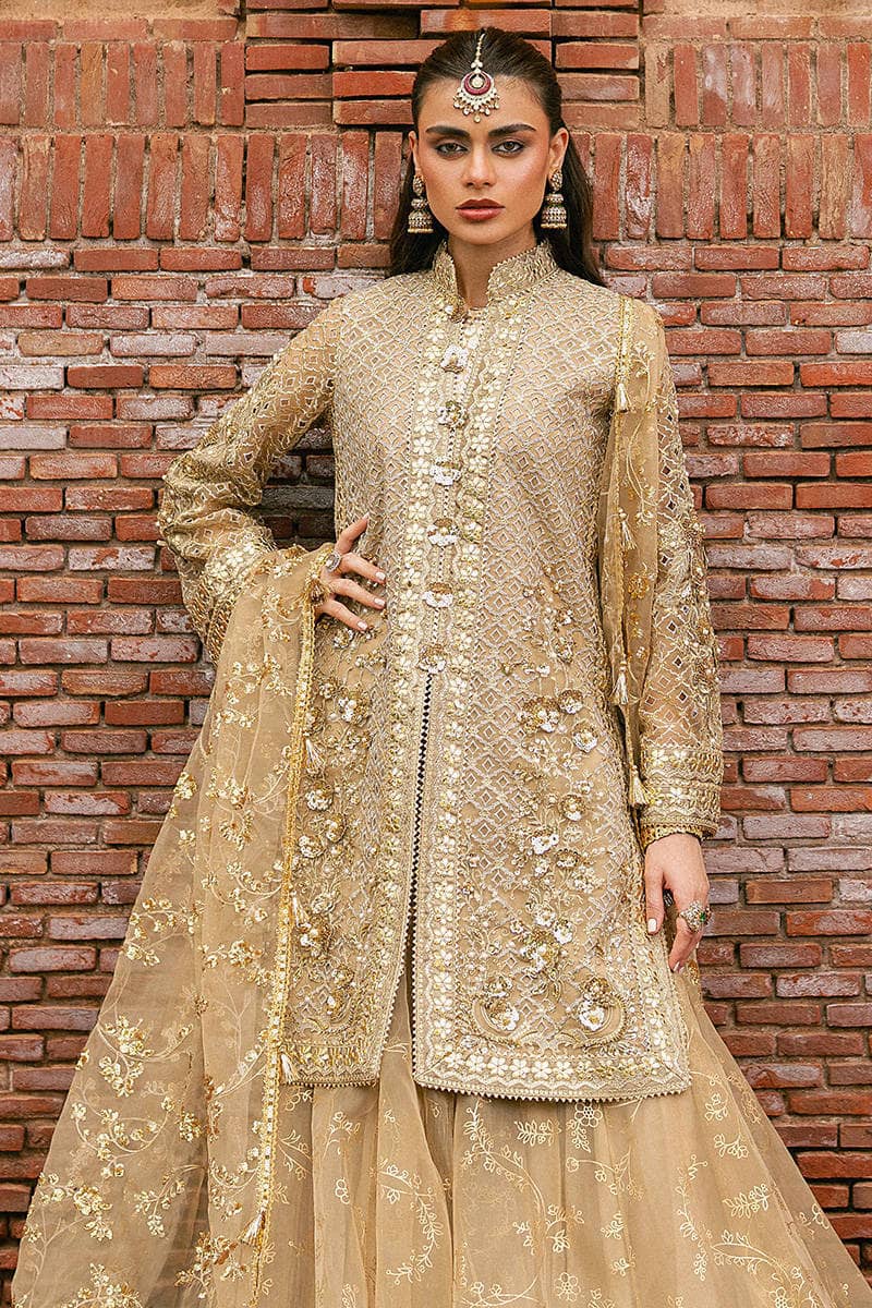 Mohsin Naveed Ranjha Chiffon Pakistani Suit Mohsin Naveed Ranjha 25/Makhfi/Shaadi Collection/Gold/Roshni