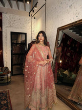 img_spotted_in_mohsin_naveed_ranjha_bridal_awwal_boutique