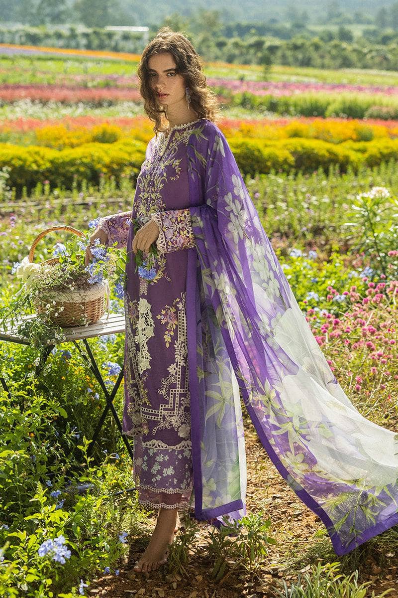 Mushq Hemline 25/Celestial Bloom/Plum