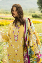 img_mushq_hemline_awwal_boutique