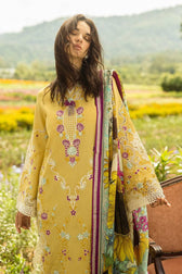 img_mushq_hemline_awwal_boutique