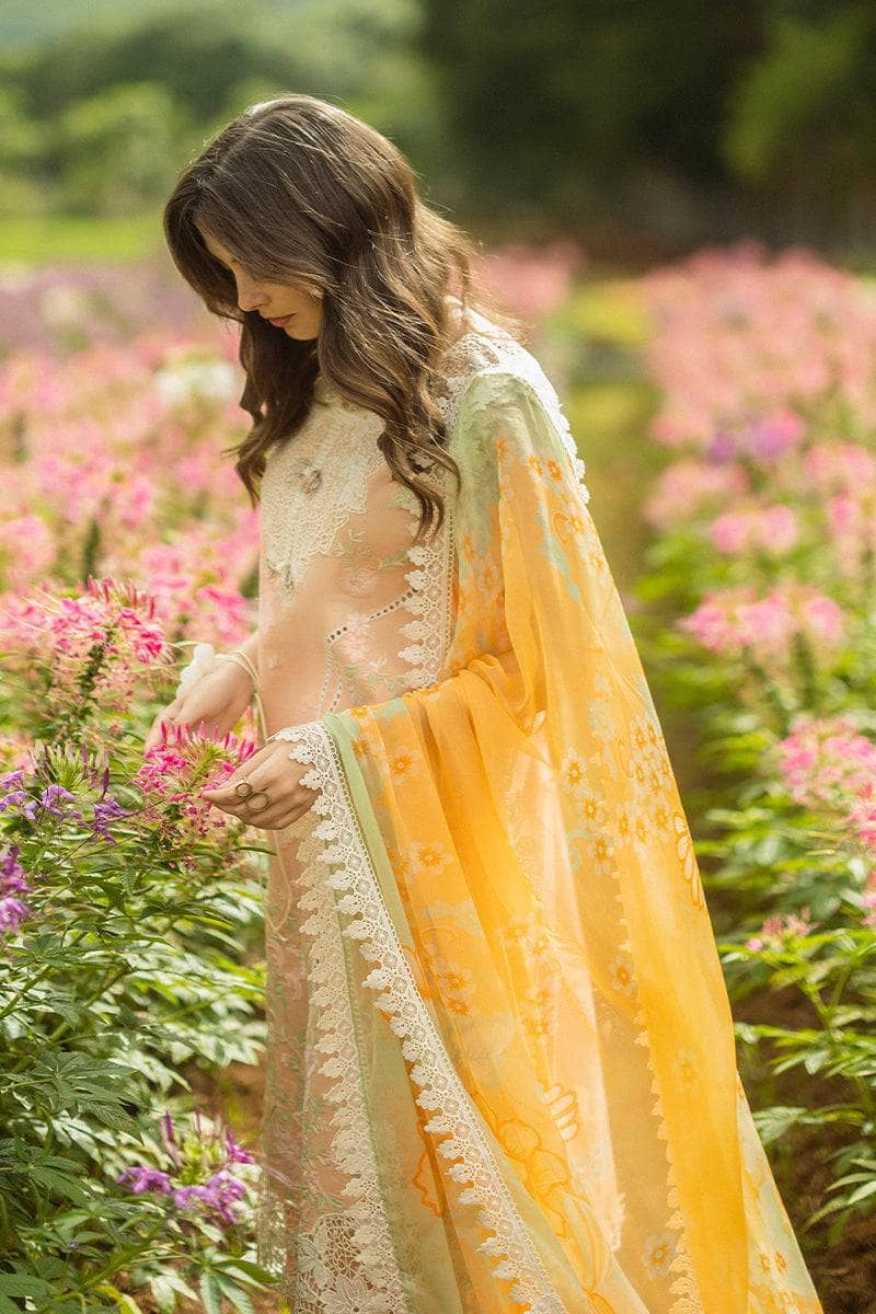 img_mushq_hemline_awwal_boutique