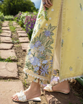 Restocked/Mushq Hemline 26/Sunlit Meadow/Chiffon Dupatta/Yellow