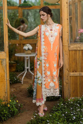 img_mushq_hemline_awwal_boutique