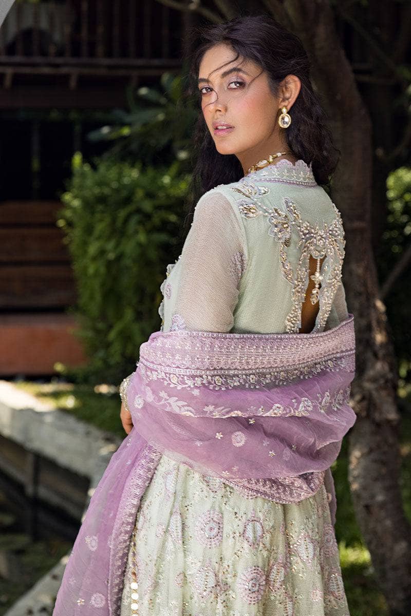 Mushq Luxury Chiffon Collection Mushq Roohi 24/Aara