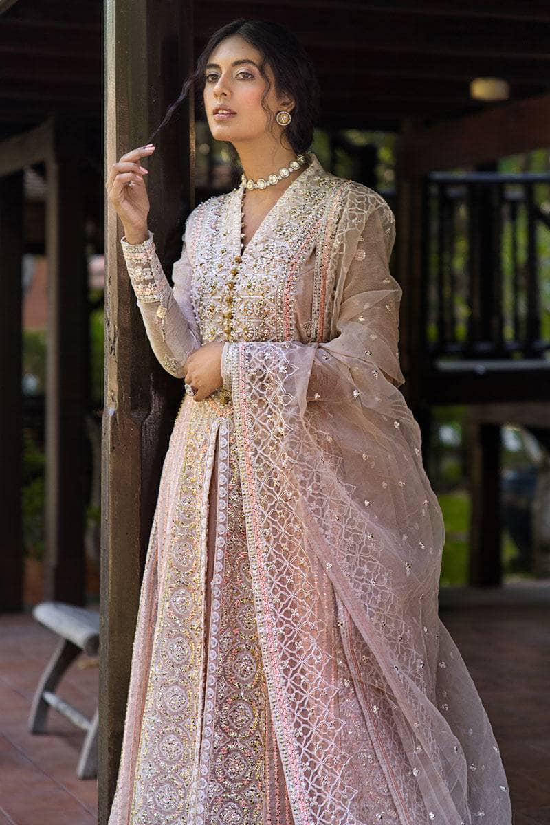 Mushq Luxury Chiffon Collection Mushq Roohi 24/Anika