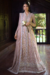 Mushq Luxury Chiffon Collection Mushq Roohi 24/Janvi