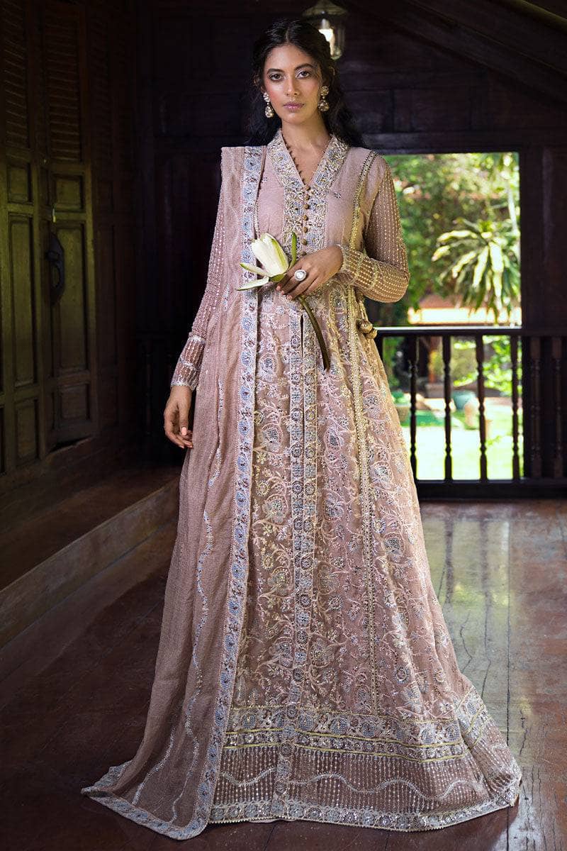 Mushq Luxury Chiffon Collection Mushq Roohi 24/Janvi